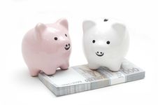 Pingky White Piggy Bank Stock Photo