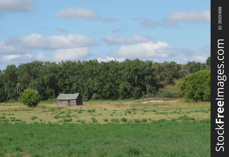 Old shack in a prairie field.