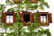Windows On A White Wall And Tree Stock Photos Windows On A White Wall And Tree Stock Photos