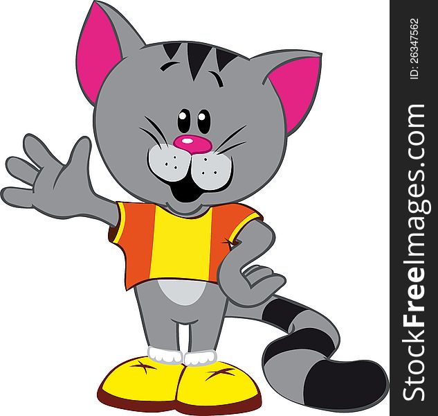 Gray sports cat on white background