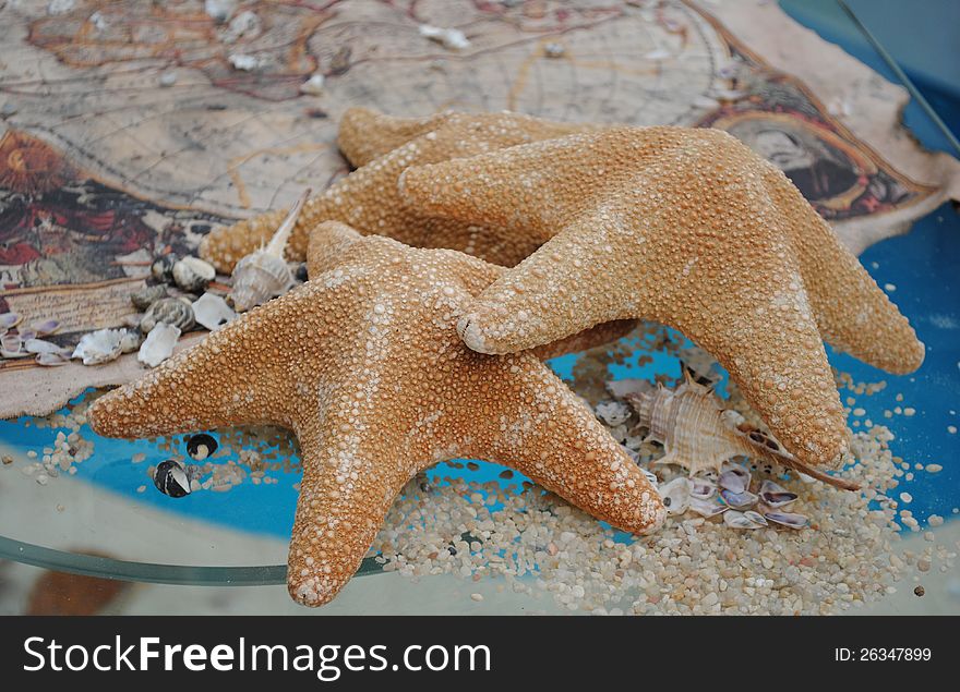 Starfishes on a glass and treasure map. Shallow depth-of-field