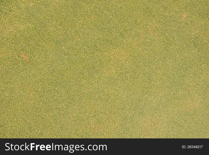 A clean golf lawn background