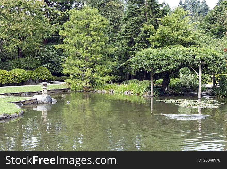 A picturesque Japanese garden with pond in summer time in Seattle.