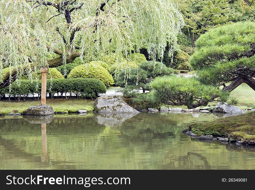 A picturesque Japanese garden with pond in summer time in Seattle.