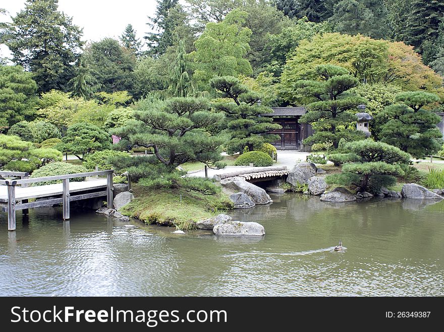 Japanese garden with a traditional gate