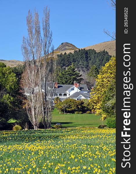 Historic Otahuna Lodge was built in 1895 for Sir Heaton Rhodes and has now been converted into into one of New Zealand's finest luxury hotels. In the foreground are the famous fields of Daffodils. In the background the extinct Port Hills volcano. Historic Otahuna Lodge was built in 1895 for Sir Heaton Rhodes and has now been converted into into one of New Zealand's finest luxury hotels. In the foreground are the famous fields of Daffodils. In the background the extinct Port Hills volcano.