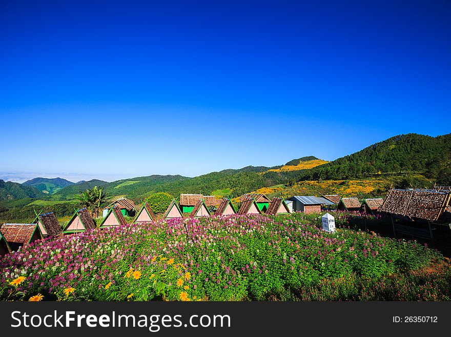 Beautiful landscape in the mountains of northern part thailand