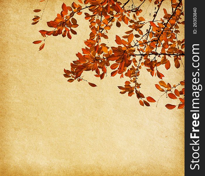 Old paper with branch of autumn leaves. Cherry plum