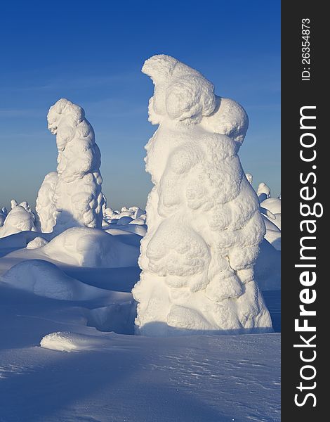 Northern Ural Mountains. Fantastic snow figures on trees. Frosty morning on border with Siberia. Northern Ural Mountains. Fantastic snow figures on trees. Frosty morning on border with Siberia.