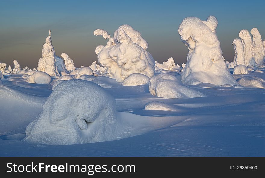 Northern Ural Mountains. Fantastic snow figures on trees. Frosty morning on border with Siberia. Northern Ural Mountains. Fantastic snow figures on trees. Frosty morning on border with Siberia.