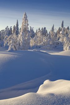 Sunny Winter Day Royalty Free Stock Photo Sunny Winter Day Royalty Free Stock Photo