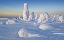 Sunny Winter Day Royalty Free Stock Photos Sunny Winter Day Royalty Free Stock Photos