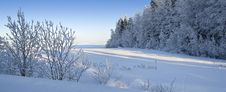 Winter Morning Stock Images Winter Morning Stock Images
