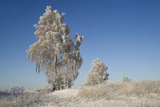 Winter Morning Royalty Free Stock Photos Winter Morning Royalty Free Stock Photos