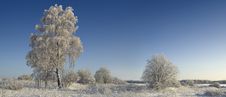 Winter Morning Royalty Free Stock Photo Winter Morning Royalty Free Stock Photo