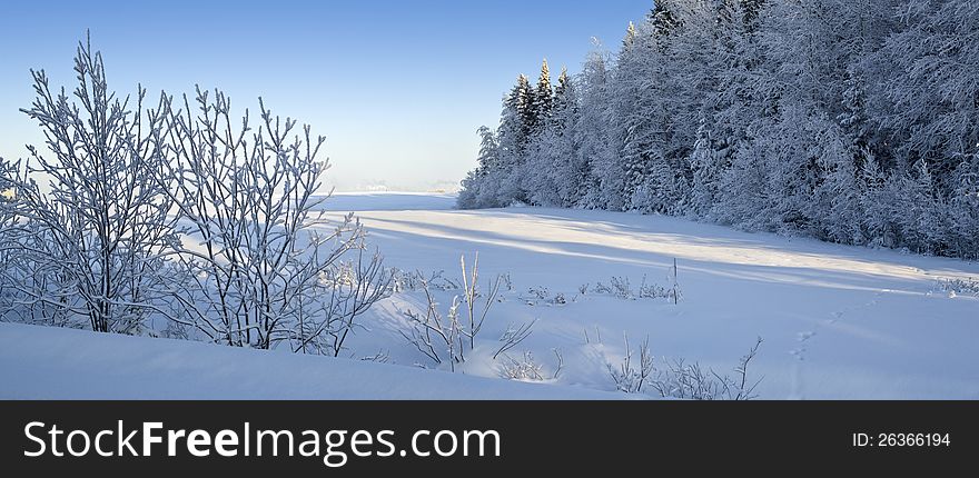 Northern Ural Mountains. Fantastic snow figures on trees. Frosty morning on border with Siberia. Northern Ural Mountains. Fantastic snow figures on trees. Frosty morning on border with Siberia.