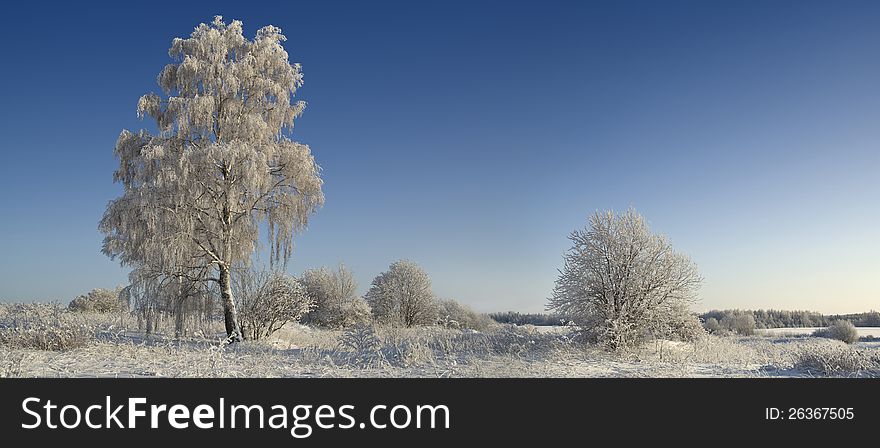 Northern Ural Mountains. Fantastic snow figures on trees. Frosty morning on border with Siberia. Northern Ural Mountains. Fantastic snow figures on trees. Frosty morning on border with Siberia.