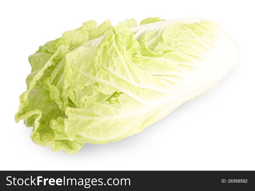 White lettuce isolated on white background with clipping path included.