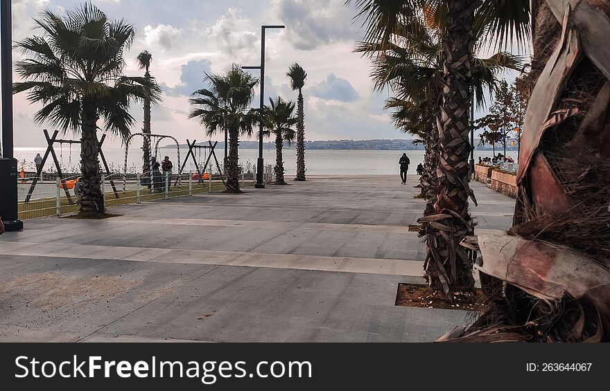 evening Turkish beach in Istanbul, palm