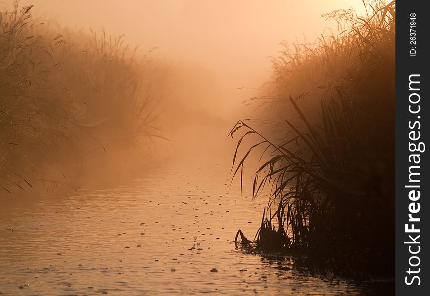 River in morning mist at sunrise. River in morning mist at sunrise