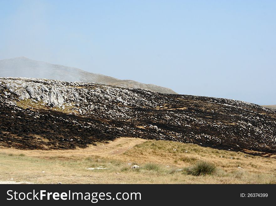 Burned dry grass on mountain in Bosnia and Herzegovina