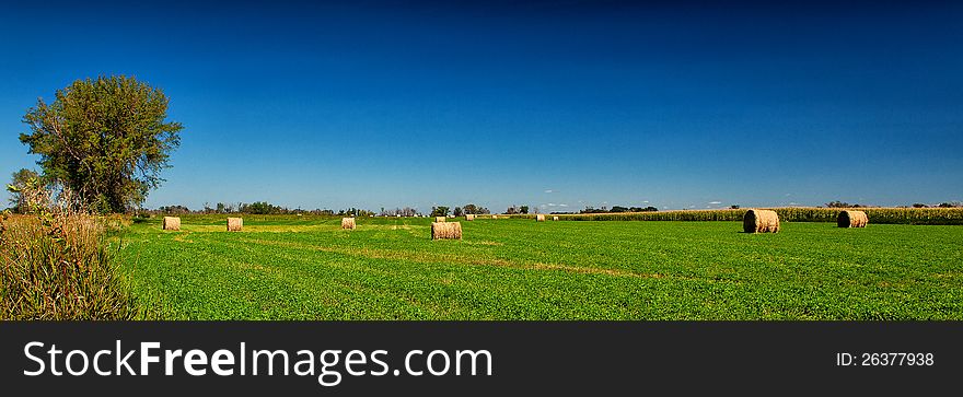 Hay Field on a summer day.