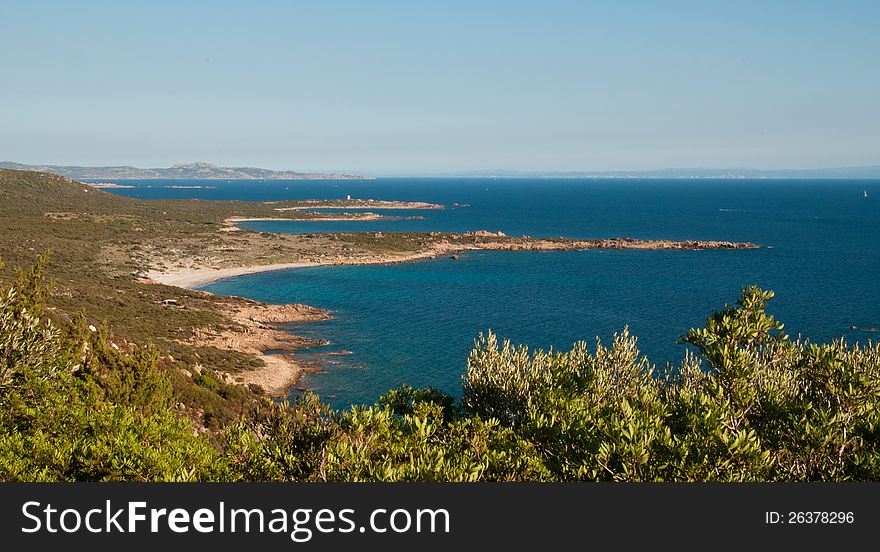 Green coast of Corsica near Bonifacio