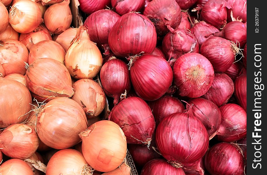 White and red onions as agricultural background