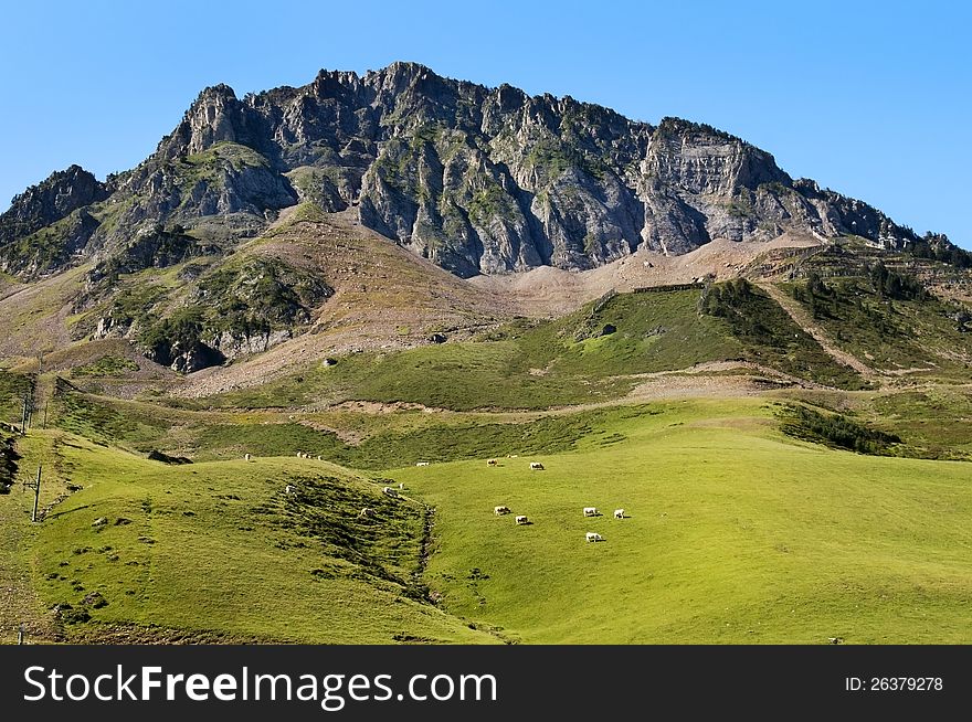 Green Meadows In The French Pyrenees