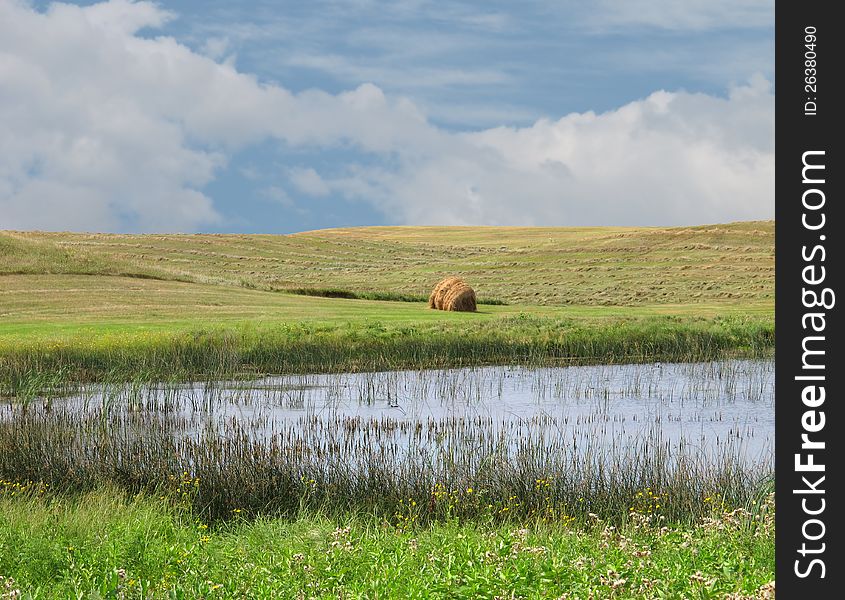 Marsh in the mid-west prairies