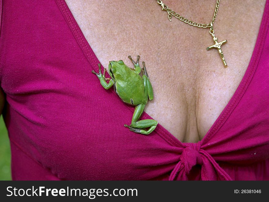 Tree-frog