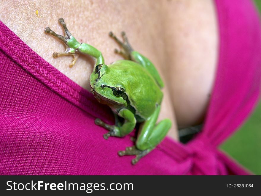 Green tree-frog and the woman