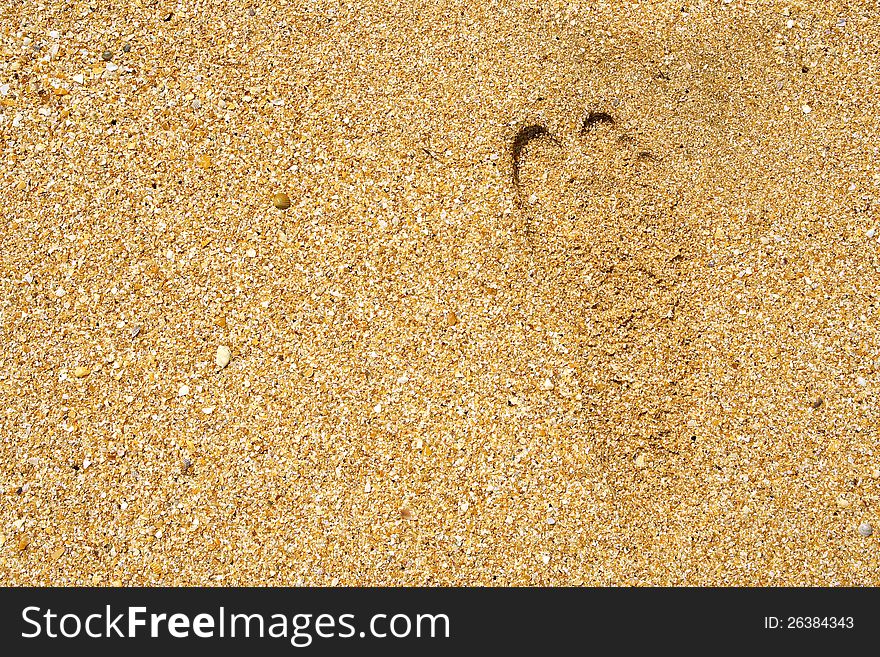 Human footprints on the sands of the seashore. Texture, background. Human footprints on the sands of the seashore. Texture, background