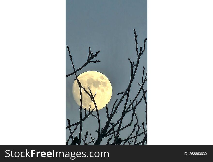 moon in the night sky