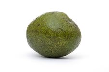 Avocado Stock Photo Avocado Stock Photo