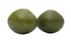 Avocados Stock Photography Avocados Stock Photography