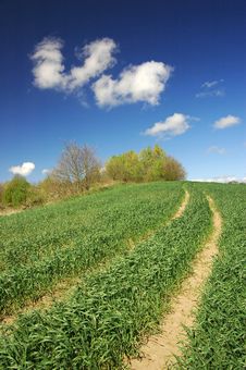 Green Field Stock Images Green Field Stock Images