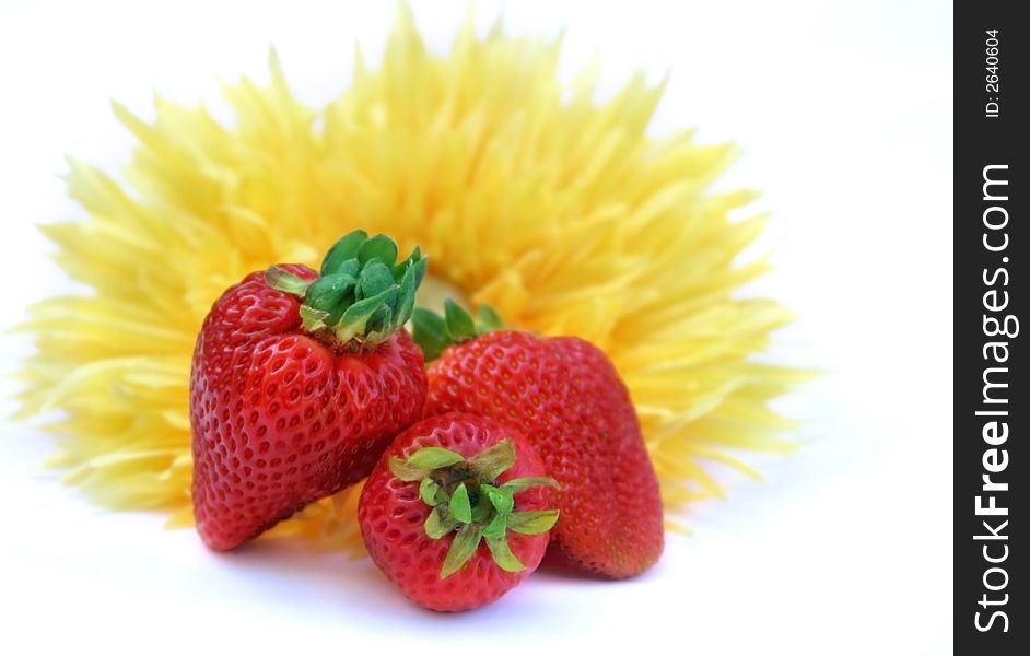 Fresh strawberries and a sunflower against white background. Fresh strawberries and a sunflower against white background.