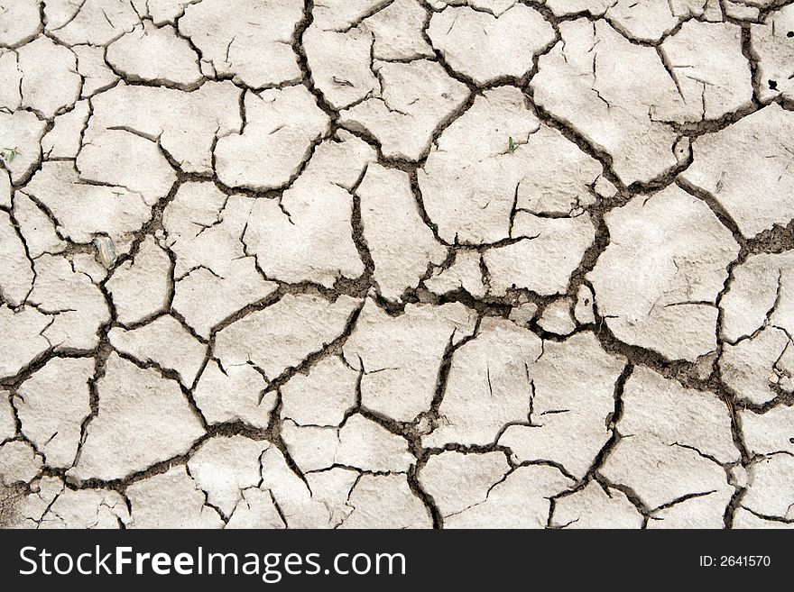 Cracked soil background. Ground at spring near some river. Cracked soil background. Ground at spring near some river