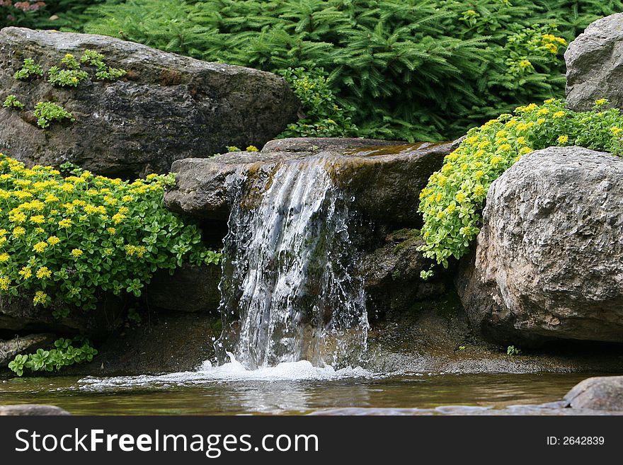 Waterfall surounded by yellow flowers