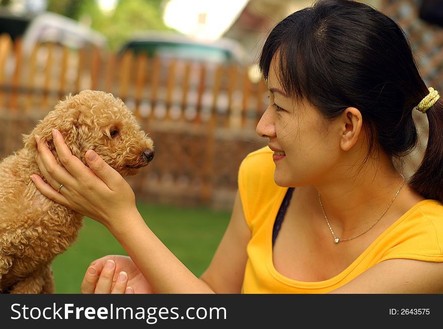 An asian lady touching a happy cute little brown poodle. An asian lady touching a happy cute little brown poodle.