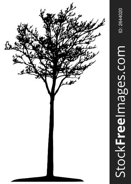 Trees - This image is a vector illustration and can be scaled to any size. Trees - This image is a vector illustration and can be scaled to any size