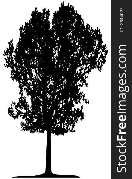 Trees - This image is a vector illustration and can be scaled to any size. Trees - This image is a vector illustration and can be scaled to any size
