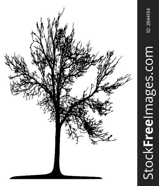 Trees - This image is a vector illustration and can be scaled to any size. Trees - This image is a vector illustration and can be scaled to any size