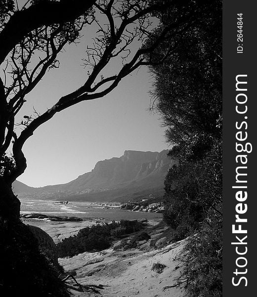 A view of Table Mountain, Cape Town - Looking towards Camps Bay