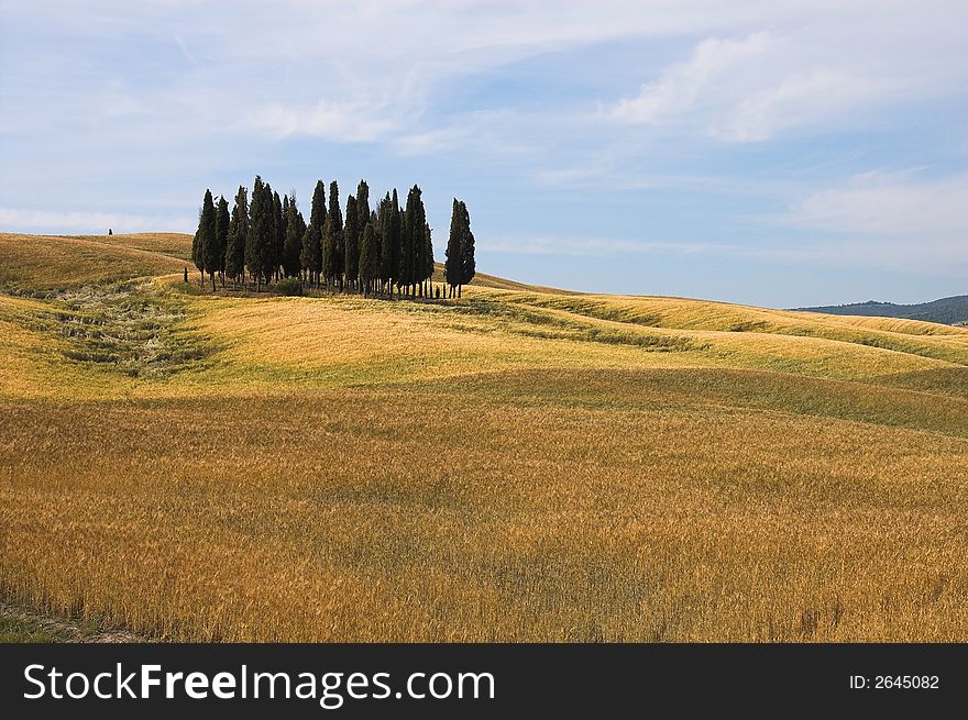 Val d'Orcia, landscape near the Via Cassia (Siena, Tuscany, Italy) . Val d'Orcia, landscape near the Via Cassia (Siena, Tuscany, Italy)