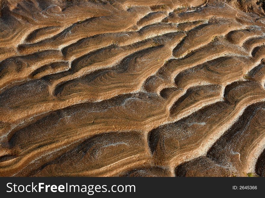 Sea sand coast after outflow. Sea sand coast after outflow