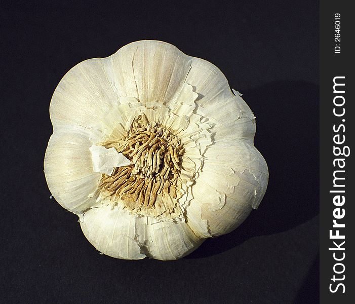 Close up of a garlic bulb. Close up of a garlic bulb