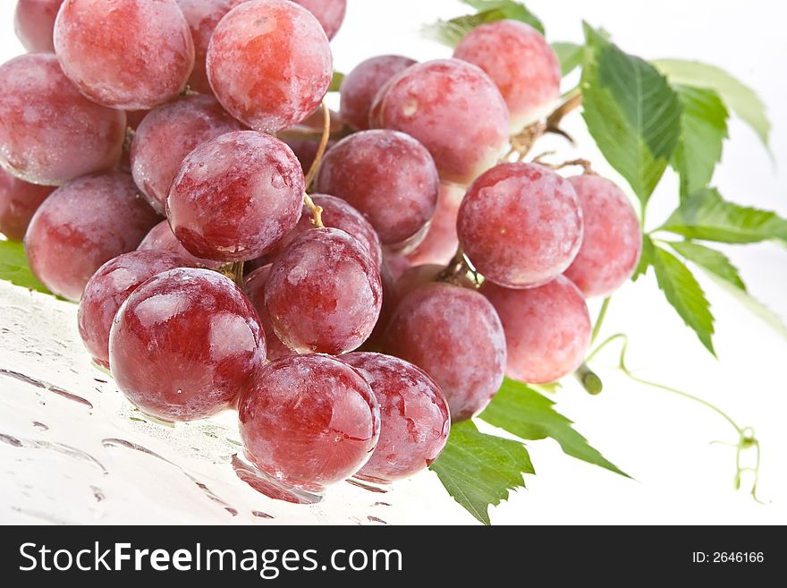 Cluster of ripe juicy red grapes with large berries on a white background. Cluster of ripe juicy red grapes with large berries on a white background