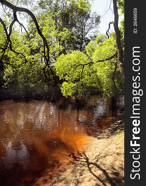 Alcove of an old park,Elagin island,Saint-Petersburg,Russia. Alcove of an old park,Elagin island,Saint-Petersburg,Russia